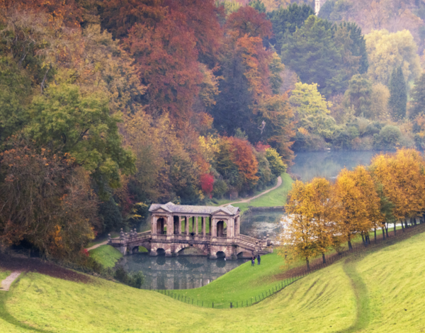 Bath City Tour & Afternoon Tea